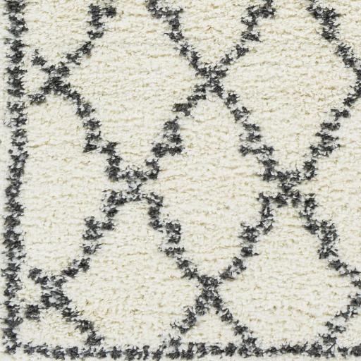 Surya Deluxe Shag DXS-2306 2' x 3' Rug