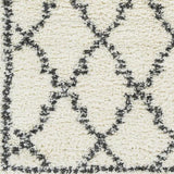 Surya Deluxe Shag DXS-2306 2' x 3' Rug