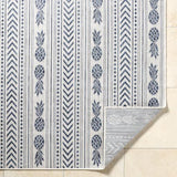 Surya Eagean EAG-2439 2' x 2'11" Rug