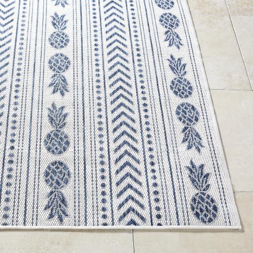 Surya Eagean EAG-2439 5'3" x 7'7" Rug