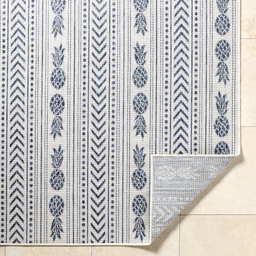 Surya Eagean EAG-2439 5'3" x 7'7" Rug