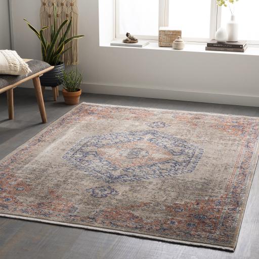 Surya Eclipse EPE-2302 2' x 3'3" Rug