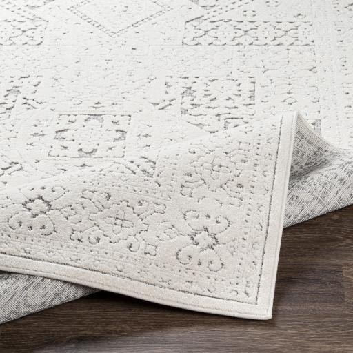 Surya Greenwich GWC-2322 2' x 2'11" Rug