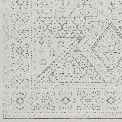 Surya Greenwich GWC-2322 2' x 2'11" Rug