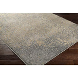 Surya Paramount PAR-1074 8'10" x 12'10" Rug