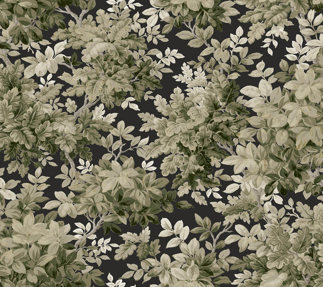 A-Street Prints Haberdashery Greenwood Black Wallpaper