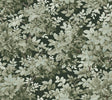 A-Street Prints Haberdashery Greenwood Dark Green Wallpaper