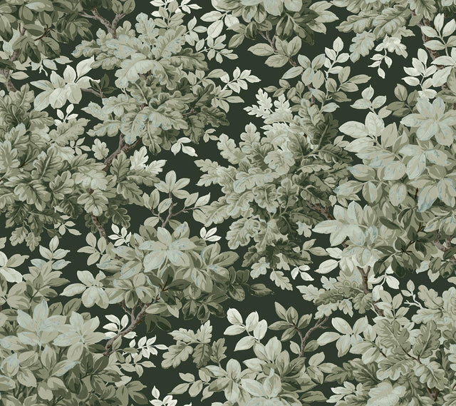 A-Street Prints Haberdashery Greenwood Dark Green Wallpaper