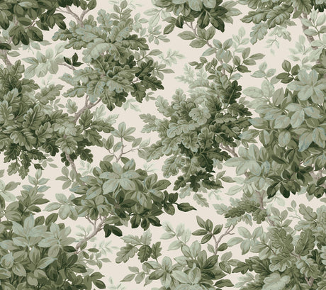 A-Street Prints Haberdashery Greenwood Moss Wallpaper