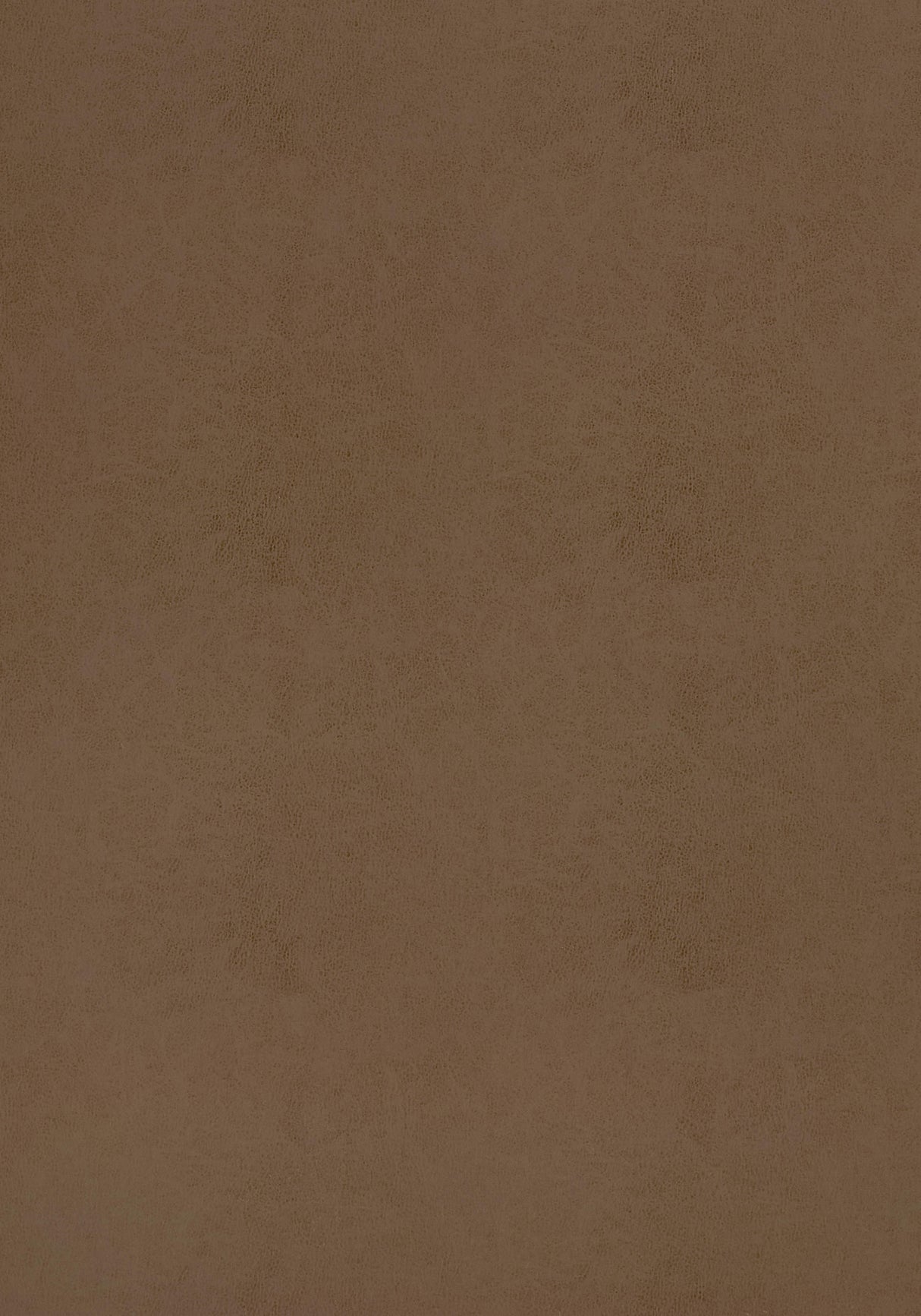 Thibaut Cordoba Acorn Fabric