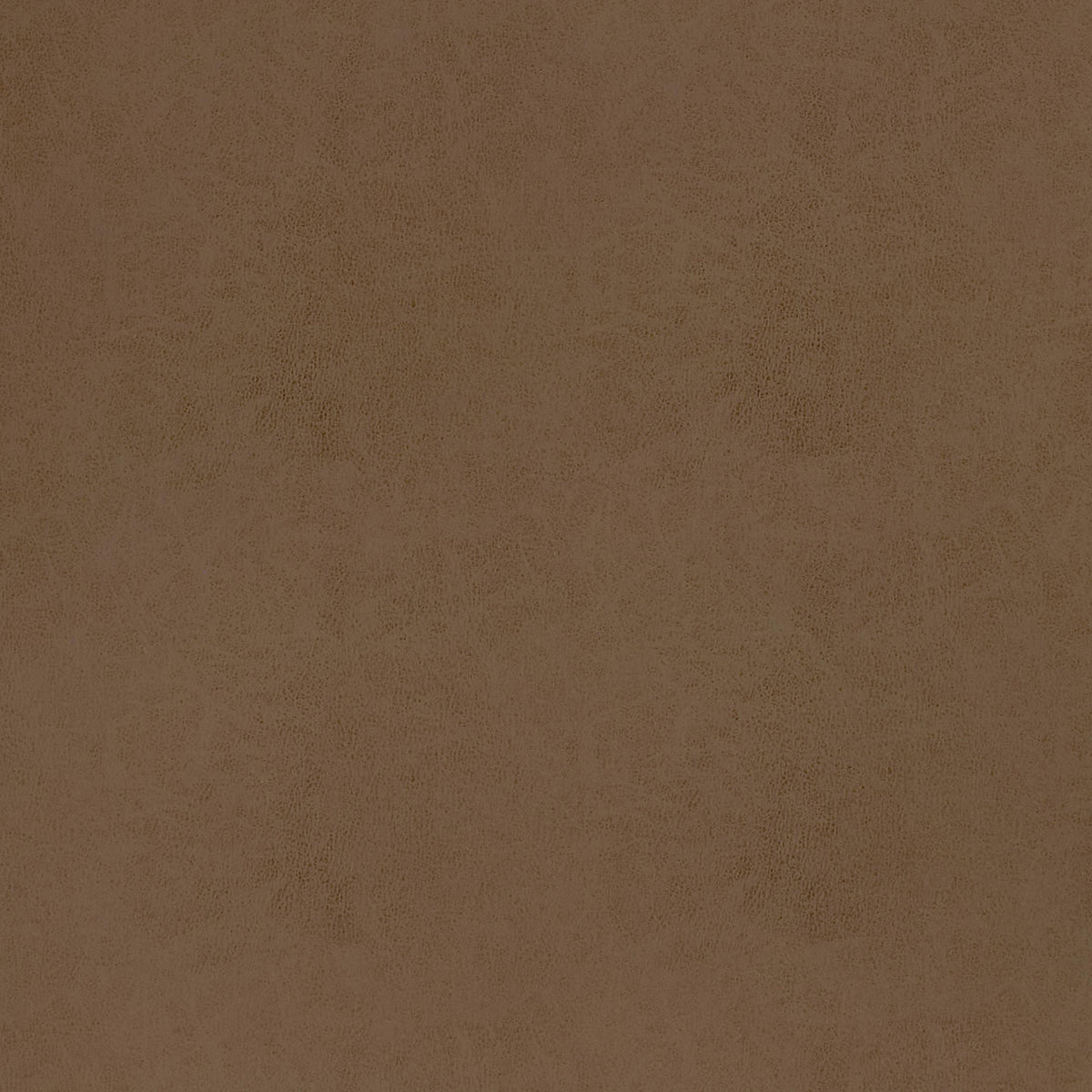 Thibaut Cordoba Acorn Fabric