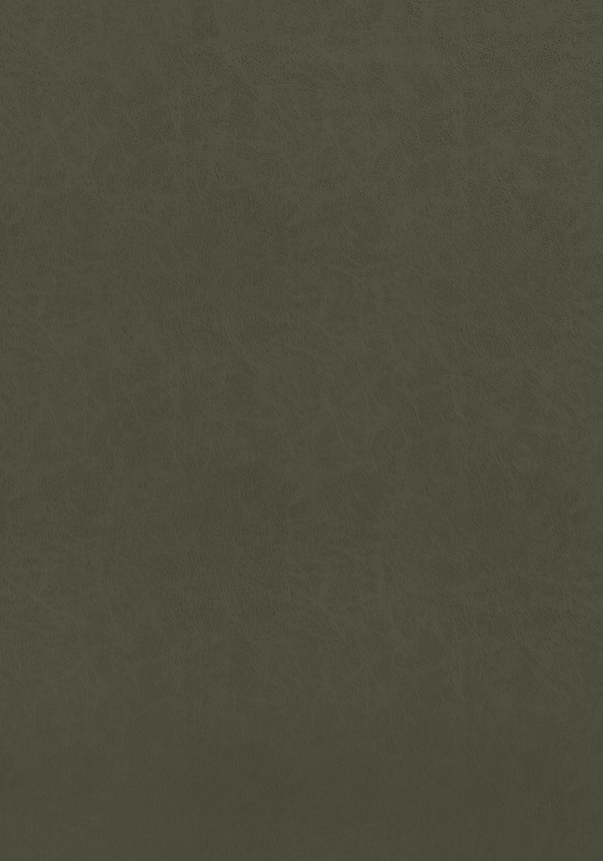 Thibaut Cordoba Olive Fabric