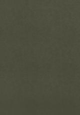 Thibaut Cordoba Olive Fabric