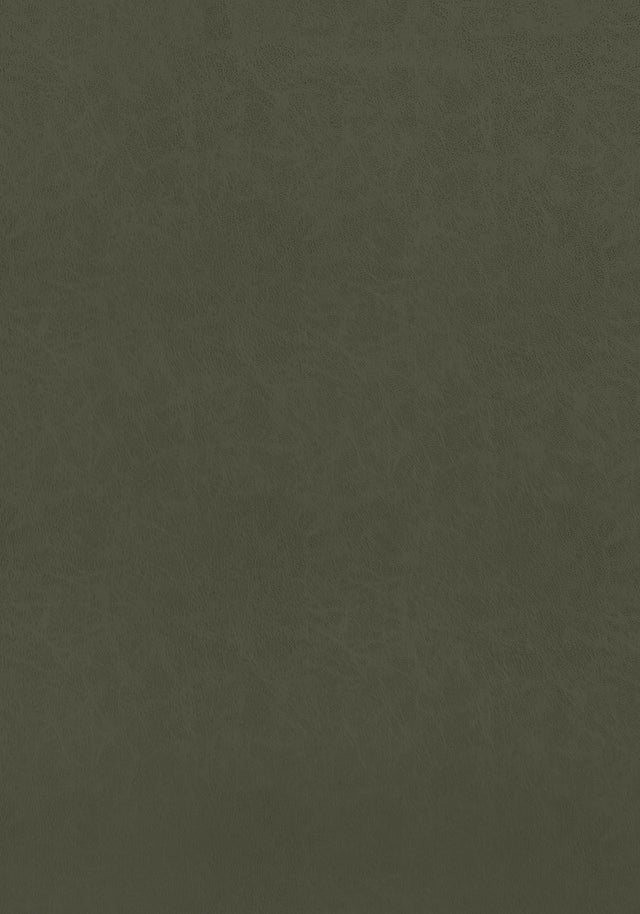 Thibaut Cordoba Olive Fabric