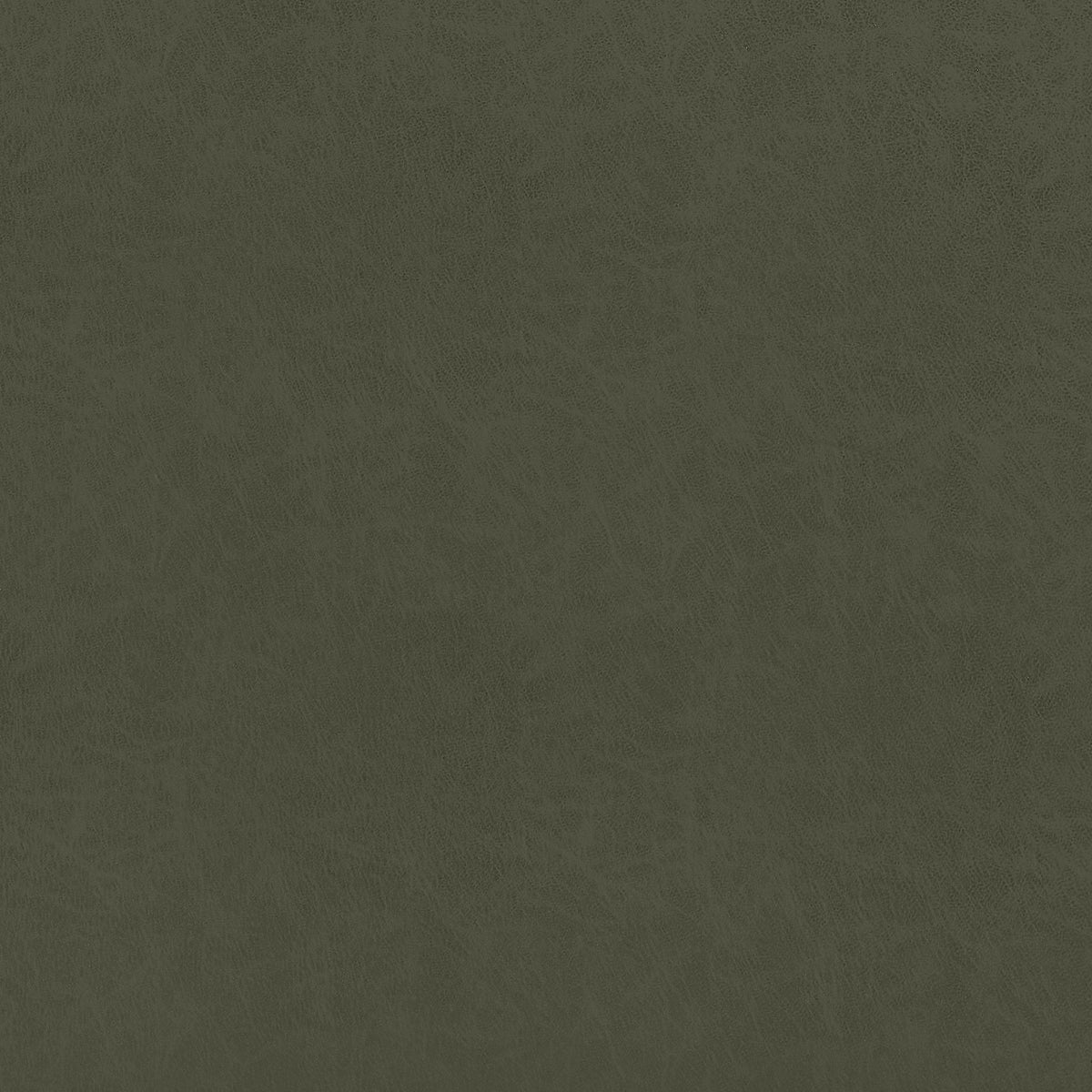 Thibaut Cordoba Olive Fabric