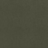 Thibaut Cordoba Olive Fabric