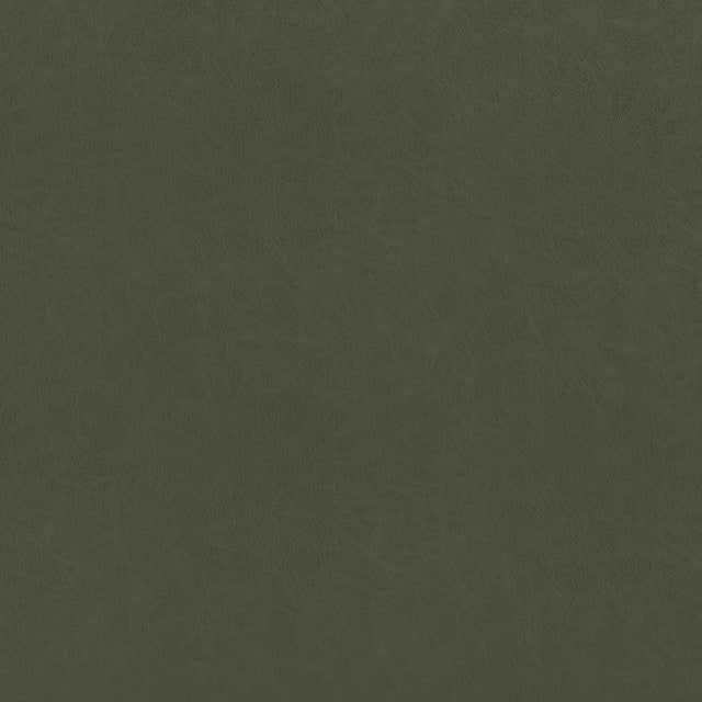 Thibaut Cordoba Olive Fabric