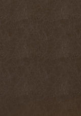 Thibaut Cordoba Coffee Fabric