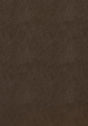 Thibaut Cordoba Coffee Fabric