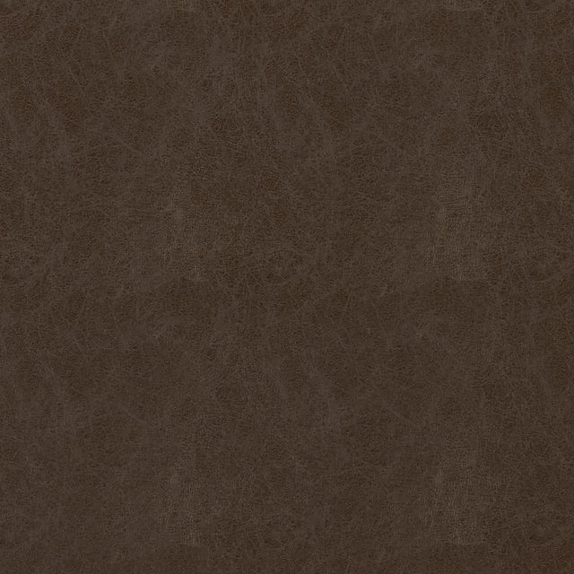 Thibaut Cordoba Coffee Fabric