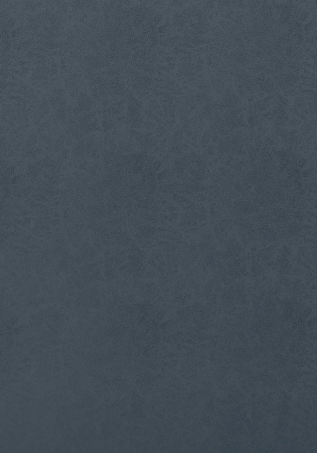 Thibaut Cordoba Midnight Fabric