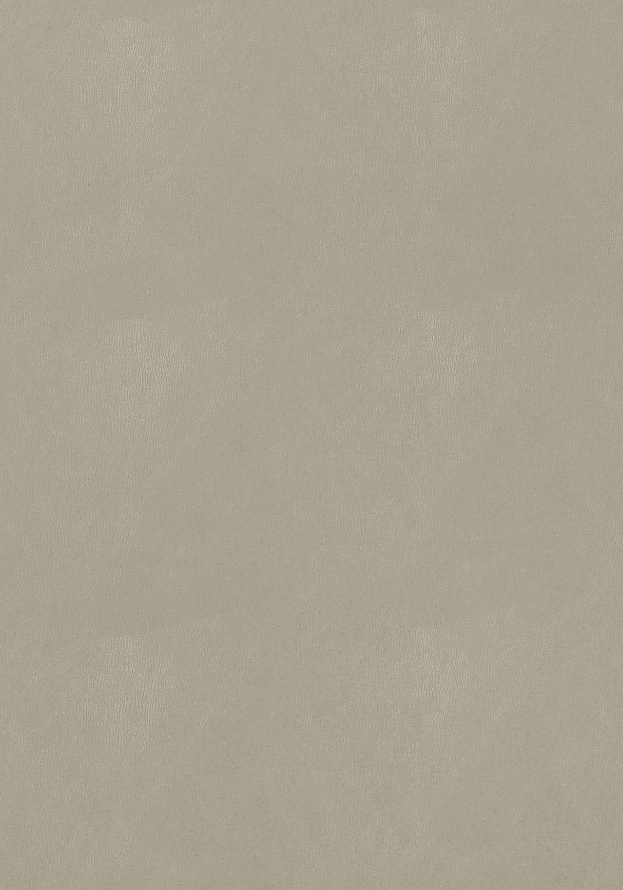 Thibaut Cordoba Stone Fabric