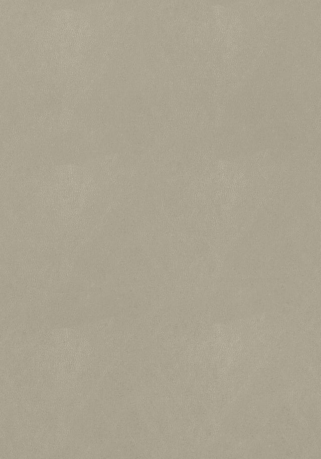 Thibaut Cordoba Stone Fabric