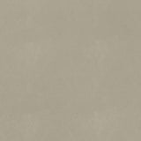 Thibaut Cordoba Stone Fabric