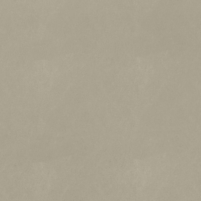 Thibaut Cordoba Stone Fabric