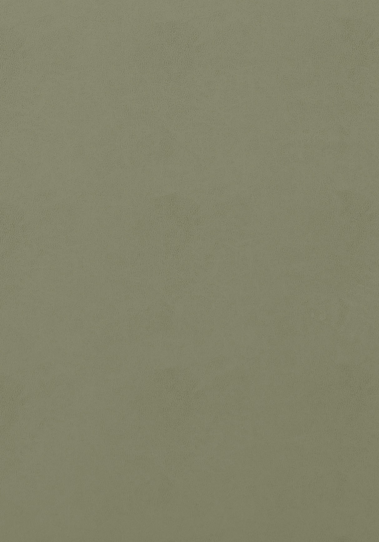 Thibaut Cordoba Loden Fabric