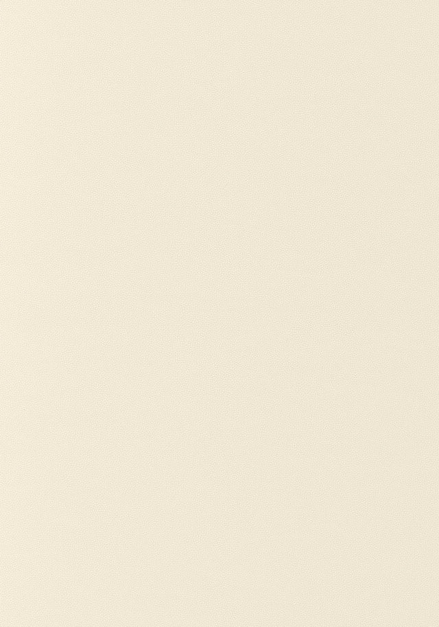 Thibaut Salta Sugar Fabric