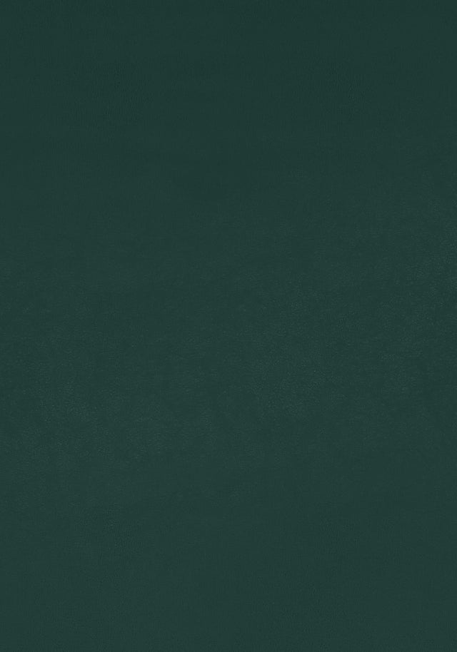 Thibaut Cordoba Mallard Fabric