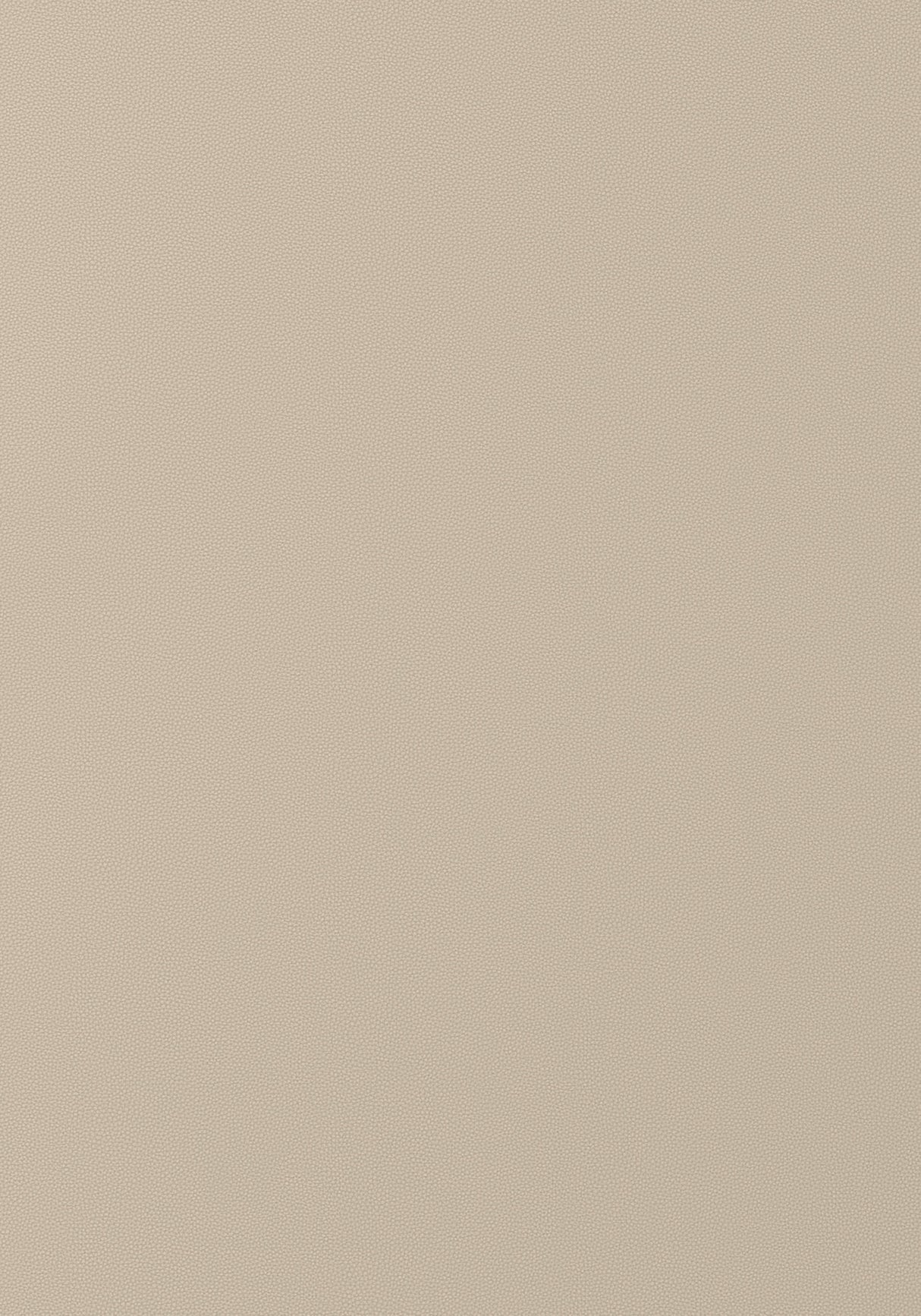 Thibaut Salta Dune Fabric