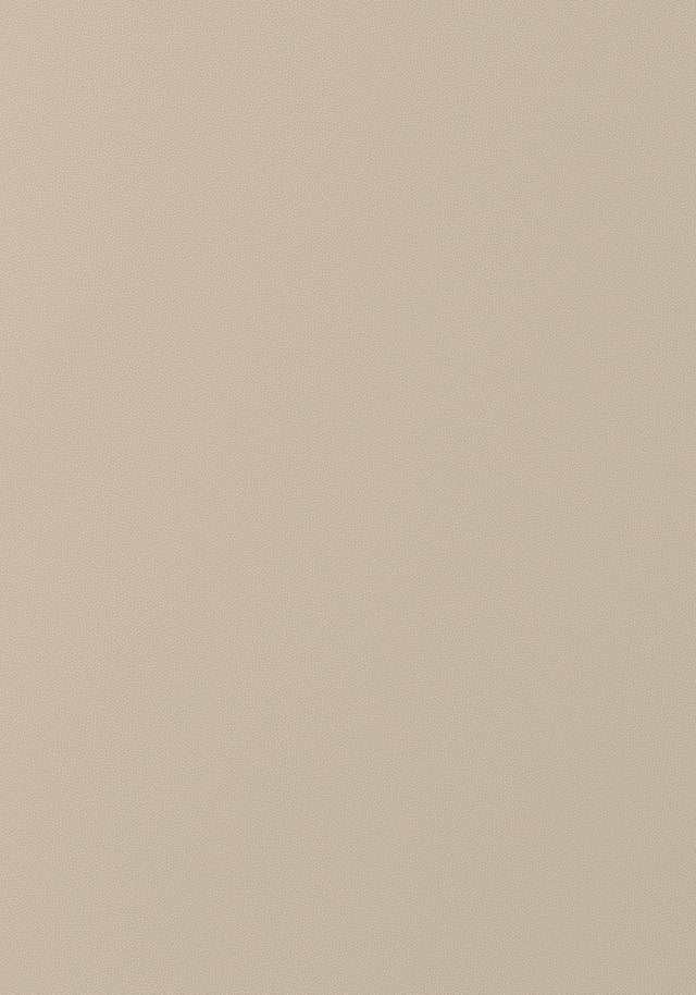 Thibaut Salta Dune Fabric
