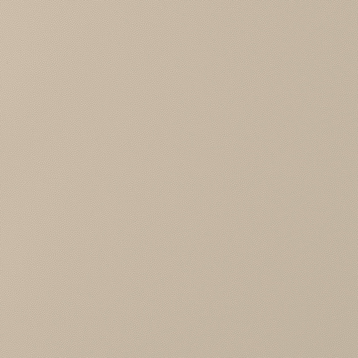 Thibaut Salta Dune Fabric