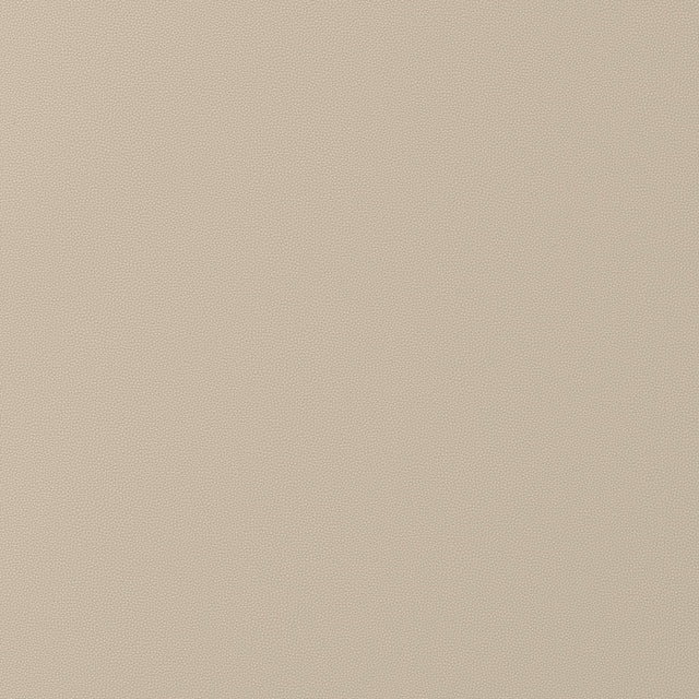 Thibaut Salta Dune Fabric