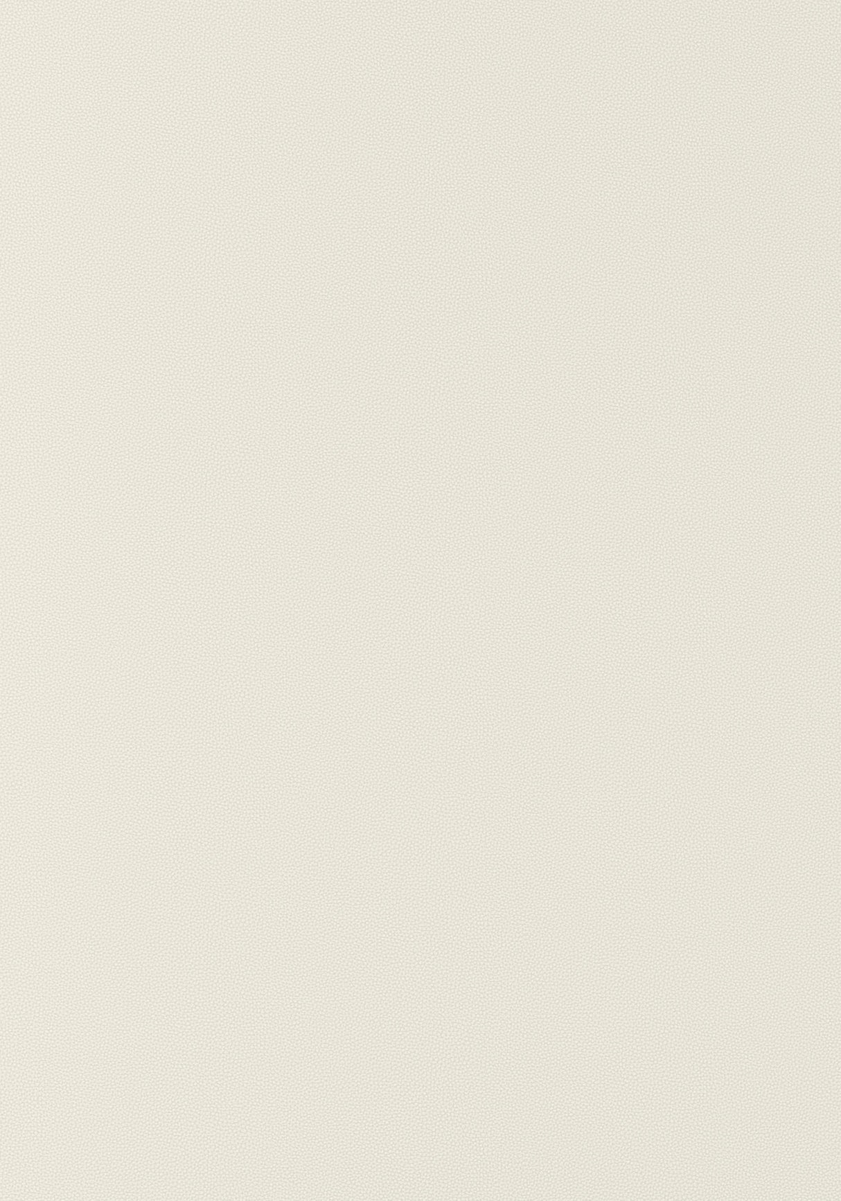 Thibaut Salta Bone Fabric