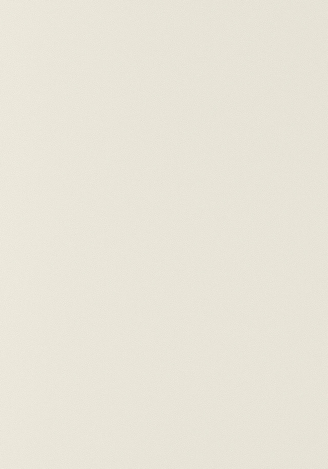 Thibaut Salta Bone Fabric
