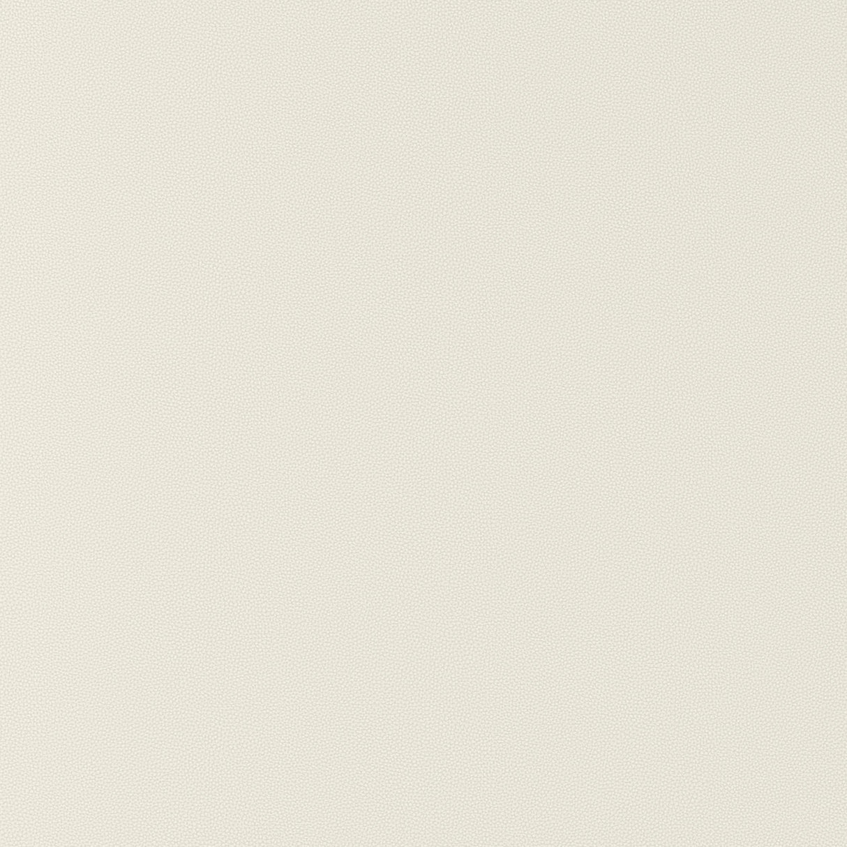 Thibaut Salta Bone Fabric