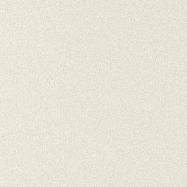 Thibaut Salta Bone Fabric