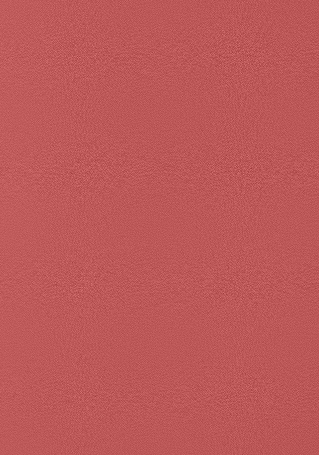 Thibaut Salta Rouge Fabric