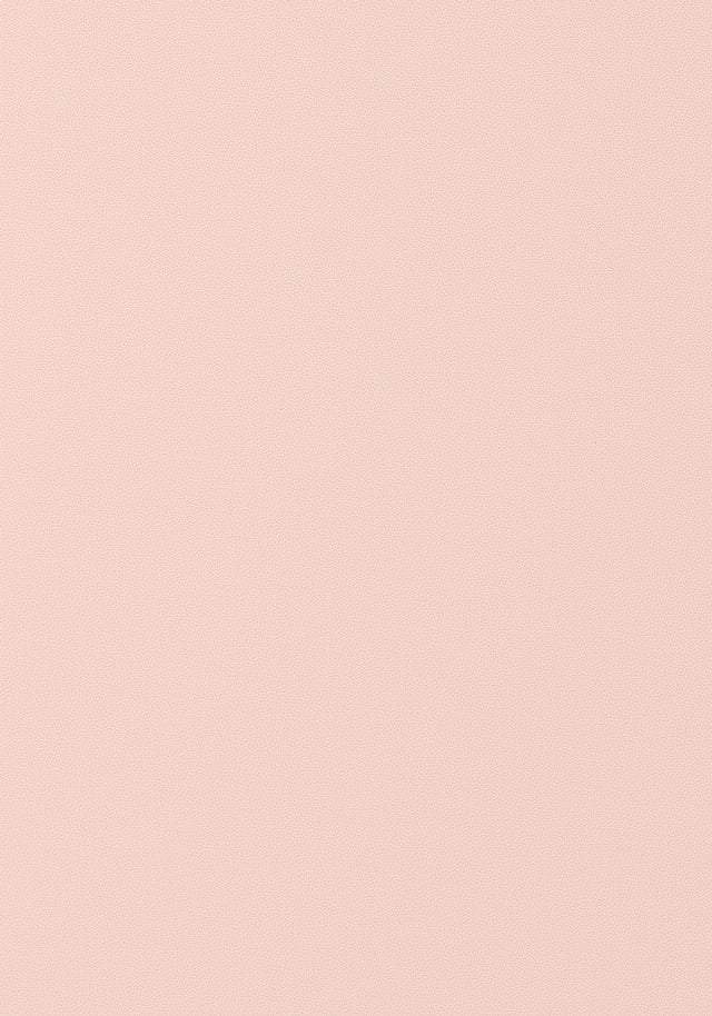 Thibaut Salta Blush Fabric