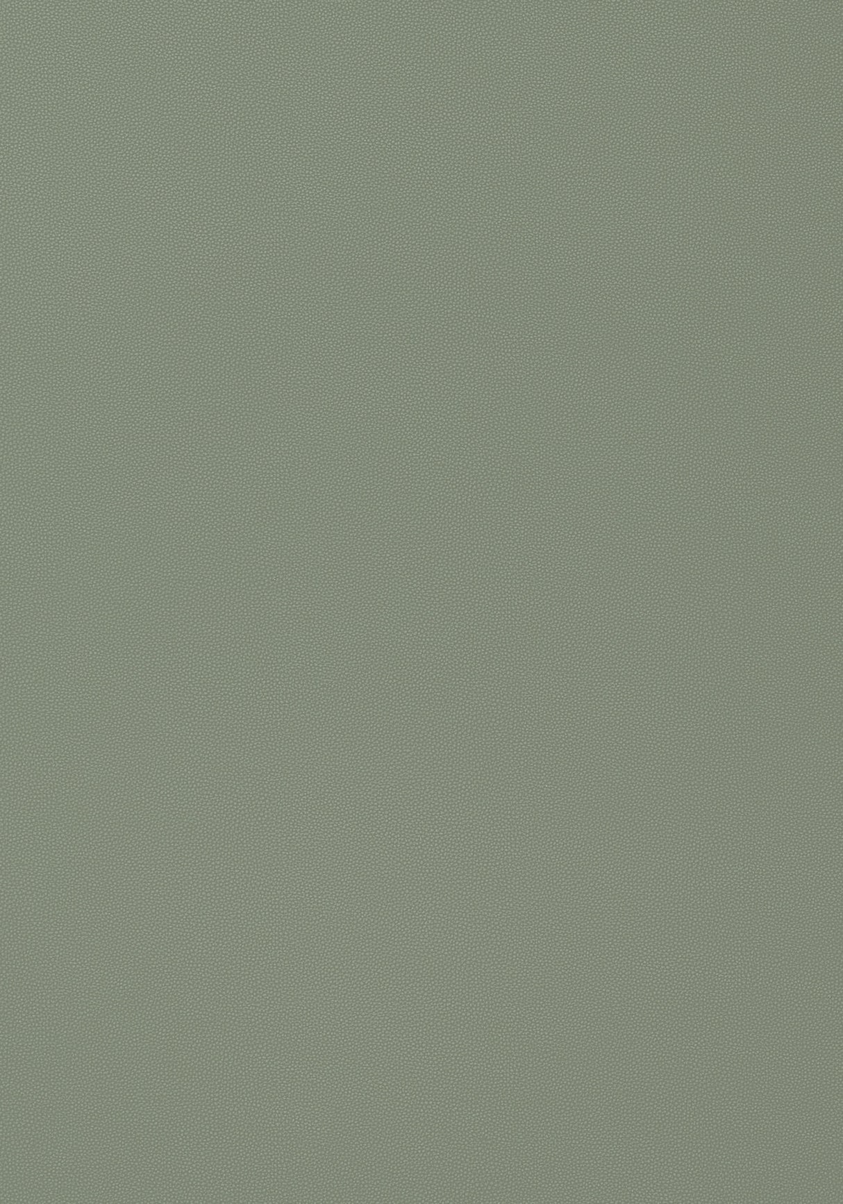 Thibaut Salta Jade Fabric