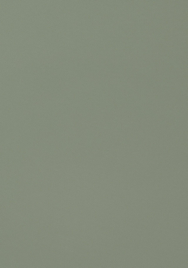 Thibaut Salta Jade Fabric