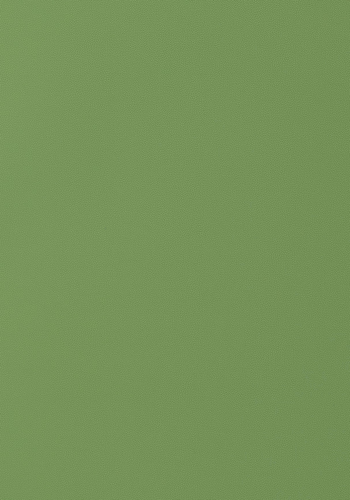 Thibaut Salta Kiwi Fabric