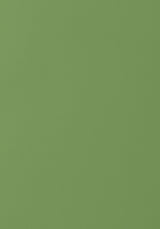 Thibaut Salta Kiwi Fabric