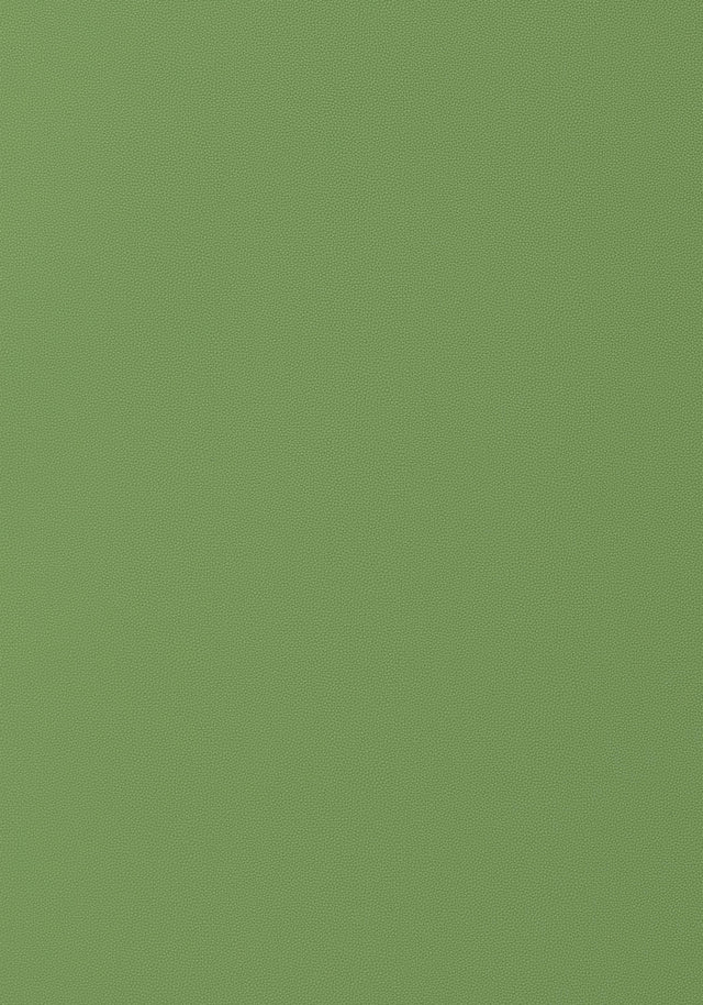 Thibaut Salta Kiwi Fabric