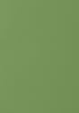 Thibaut Salta Kiwi Fabric