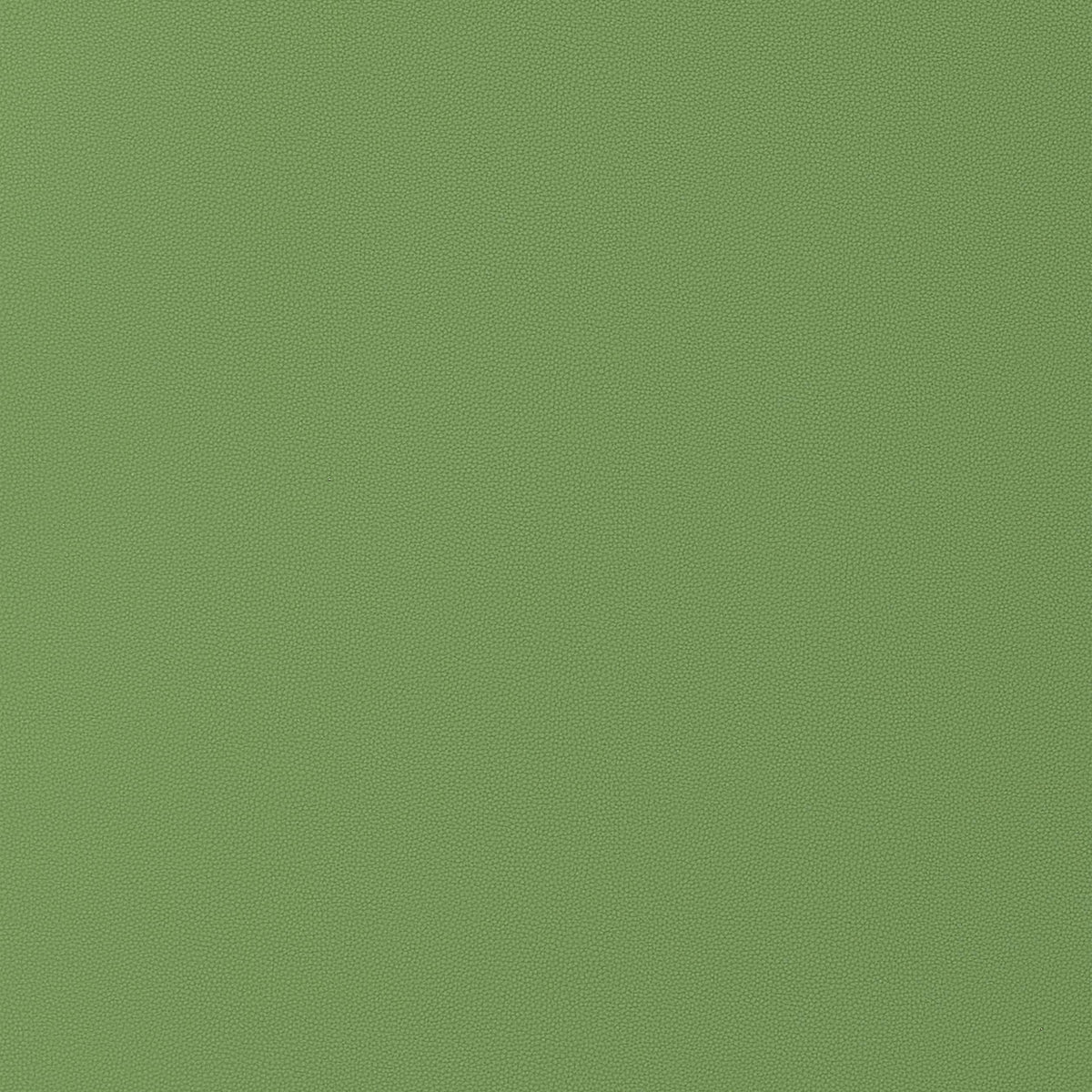Thibaut Salta Kiwi Fabric