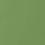 Thibaut Salta Kiwi Fabric